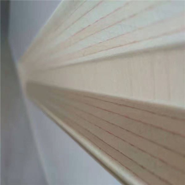 Ekoki kobombama na mopepe ya polele--山东云速网络--4组--刘洁