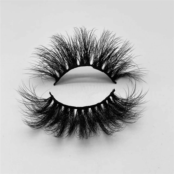 20231220glyglys1.